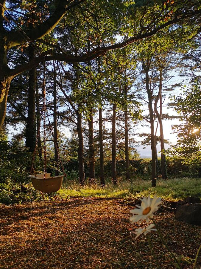 Doughery Den The Dark Hedges Hideaway Armoy 外观 照片