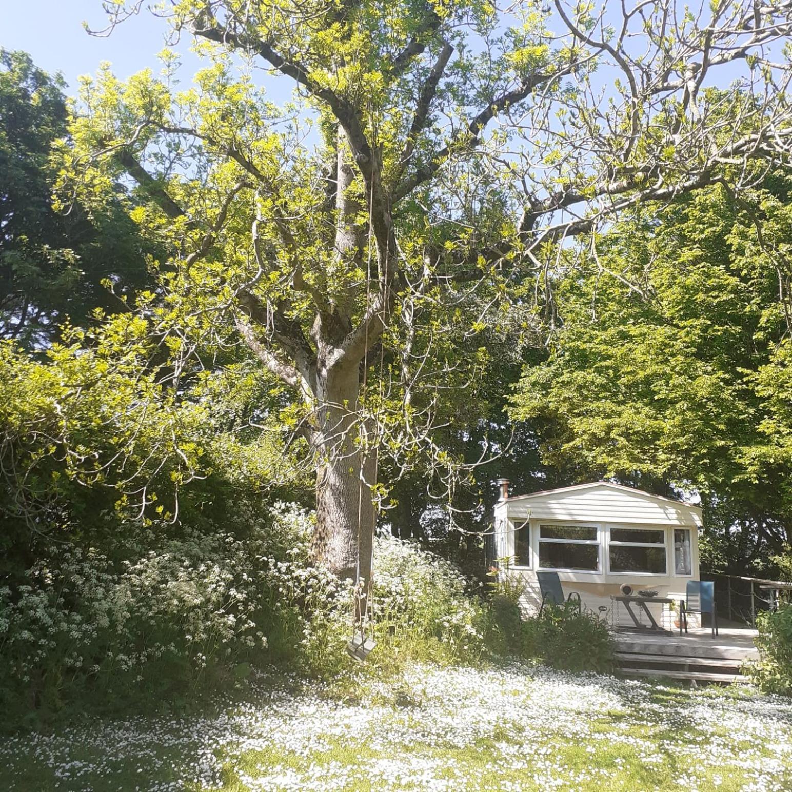Doughery Den The Dark Hedges Hideaway Armoy 外观 照片