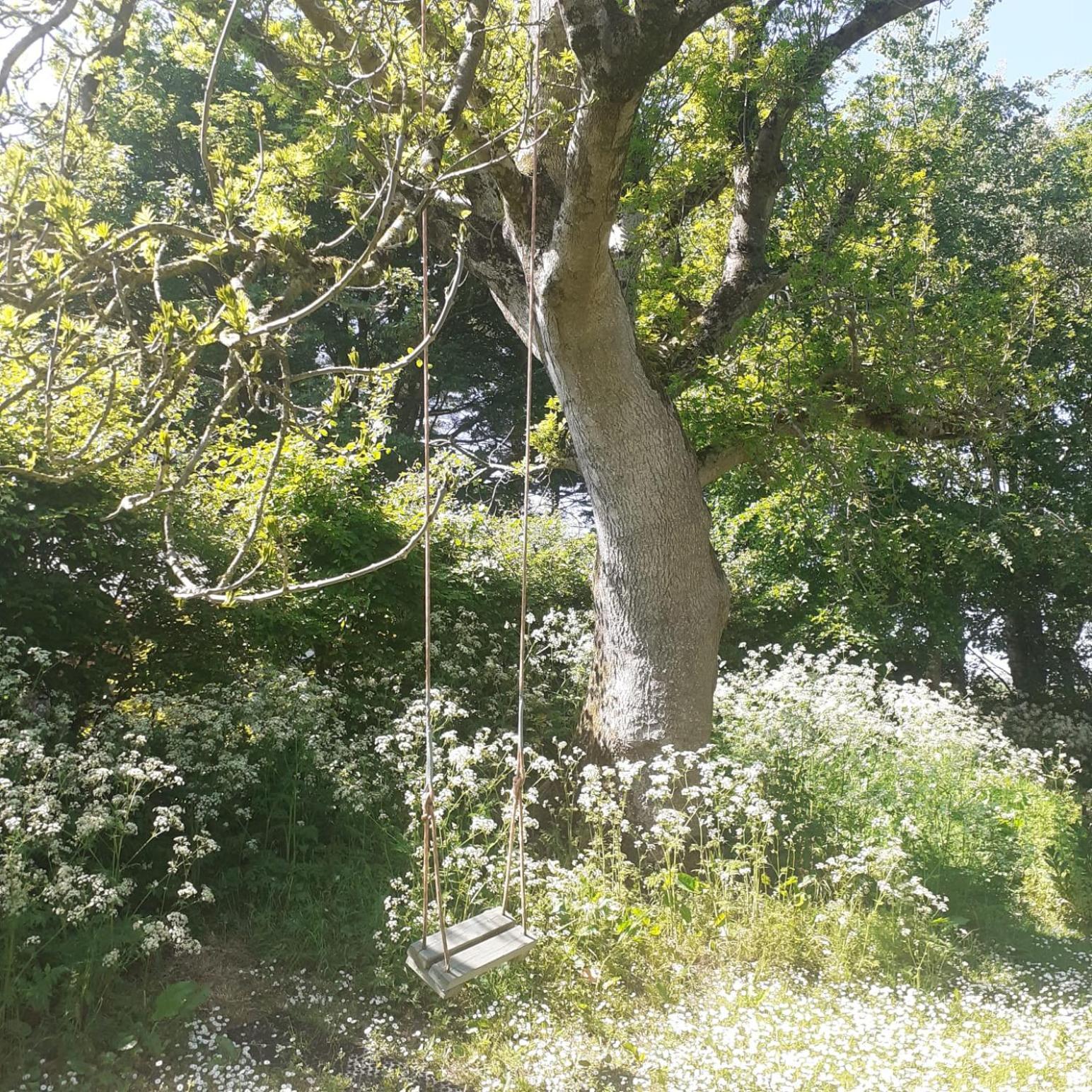 Doughery Den The Dark Hedges Hideaway Armoy 外观 照片